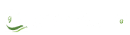 GreenAura_Lens